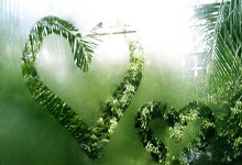  埃因霍温足球俱乐部官网 