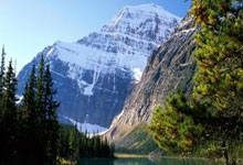 蒂姆官方宣布领先优势明显新规，澳大利亚队引发争议！上演精彩一战(澳大利亚真实事件蒂姆和琼)