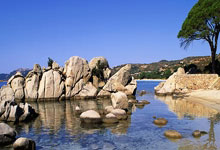 蒂姆官方宣布领先优势明显新规，澳大利亚队引发争议！上演精彩一战(澳大利亚真实事件蒂姆和琼)